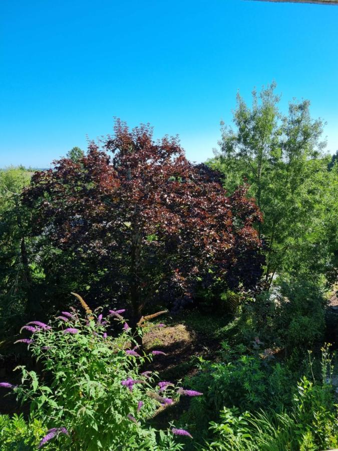 Location Saisonniere Appartement Situe A Saumur Bagian luar foto