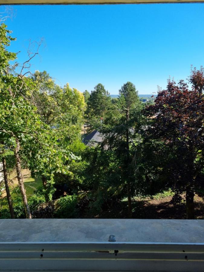Location Saisonniere Appartement Situe A Saumur Bagian luar foto